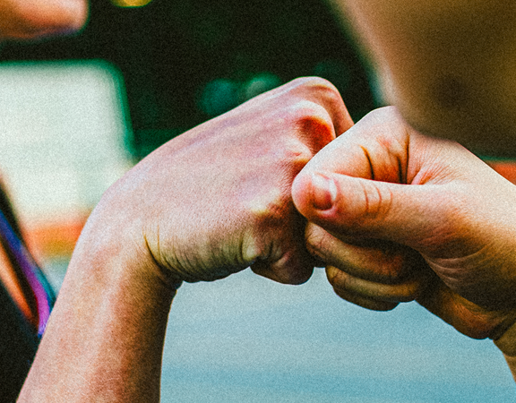 Plegdes Homepage Banner